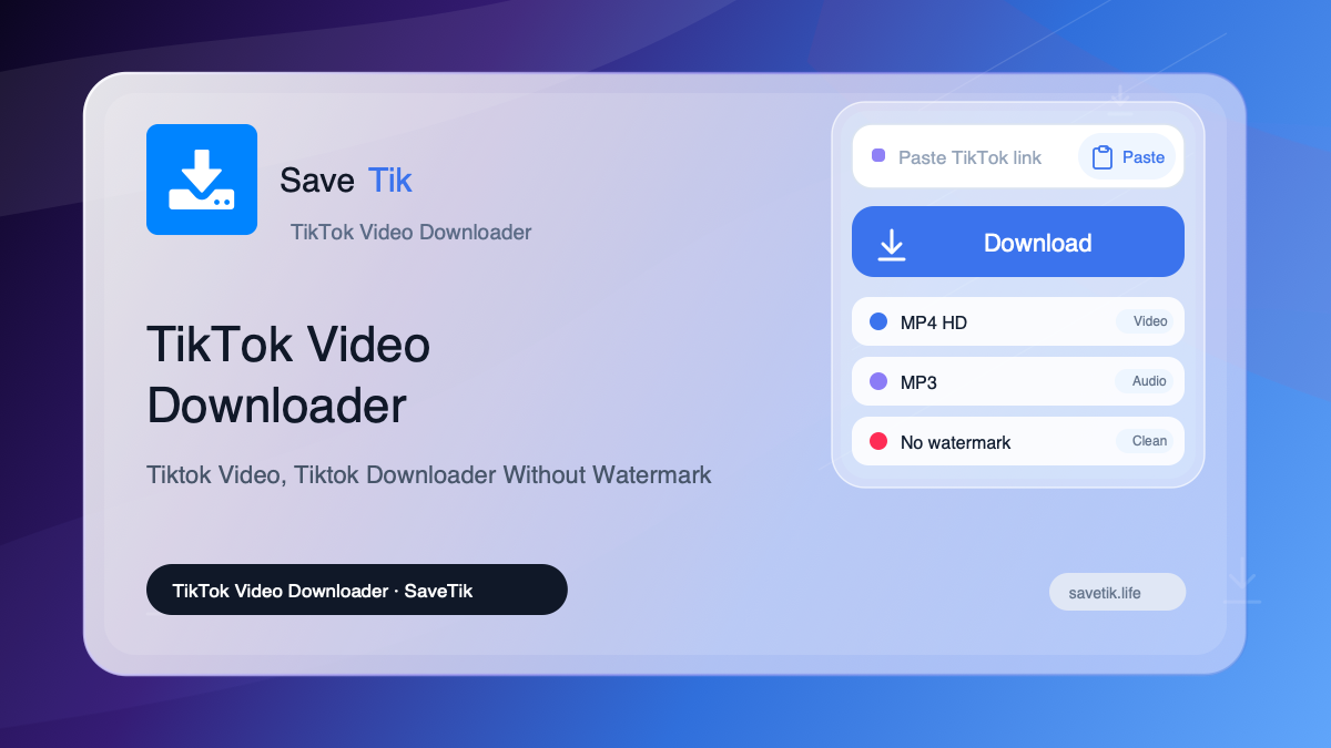 TikTok Video Downloader