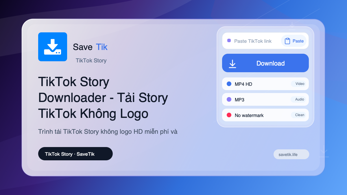 TikTok Story Downloader - Tải Story TikTok Không Logo