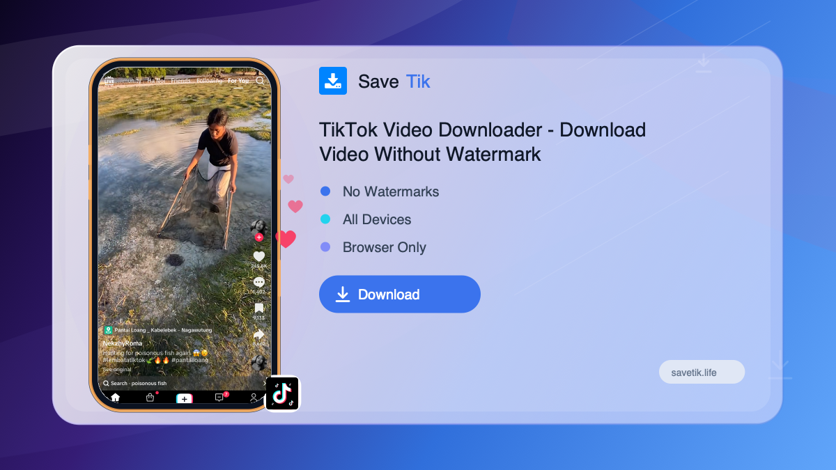 TikTok Video Downloader - Download Video Without Watermark